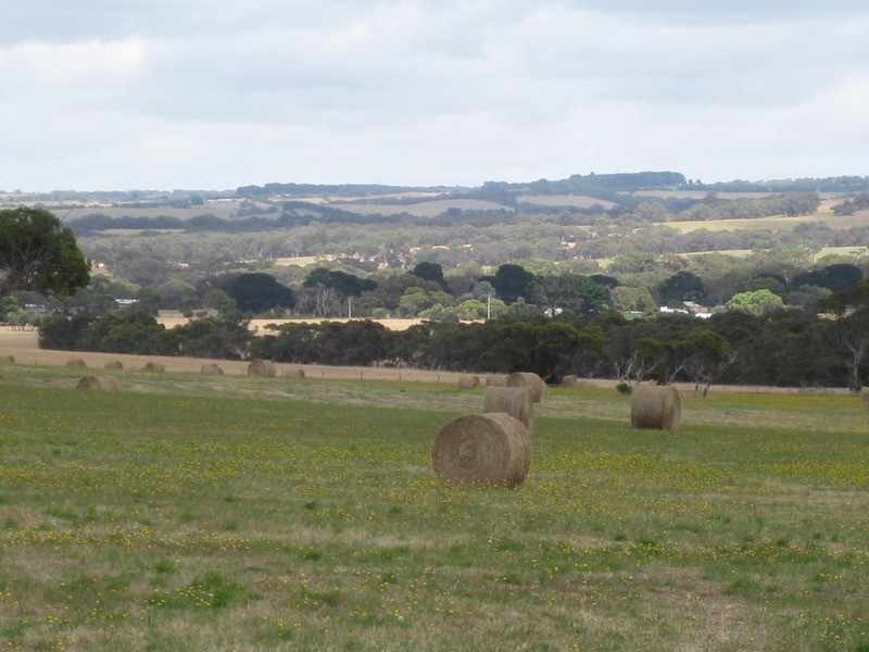 Lot 6 Depledge Road, Waitpinga SA 5211