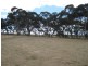 Lot 6 Depledge Road, Waitpinga SA 5211