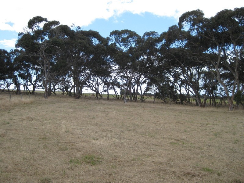 Lot 6 Depledge Road, Waitpinga SA 5211