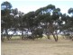 Lot 6 Depledge Road, Waitpinga SA 5211