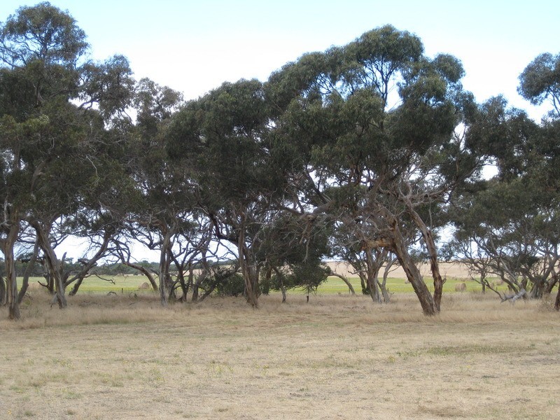 Lot 6 Depledge Road, Waitpinga SA 5211
