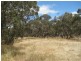 Lot 6 Depledge Road, Waitpinga SA 5211