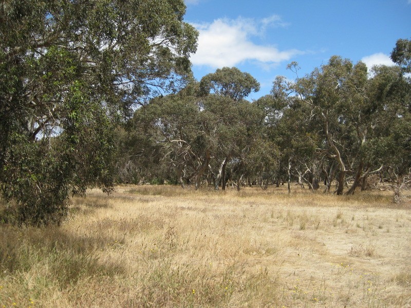 Lot 6 Depledge Road, Waitpinga SA 5211