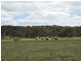 Lot 6 Depledge Road, Waitpinga SA 5211