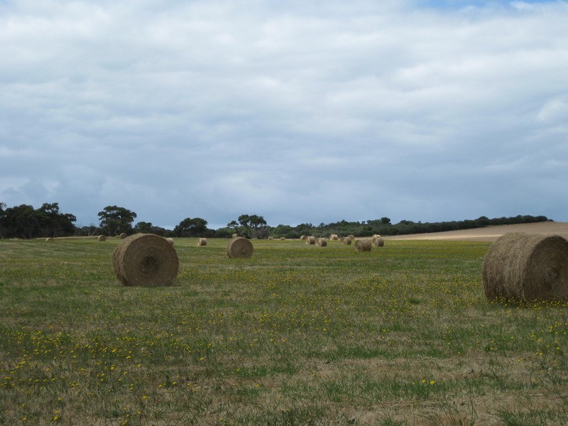 Lot 6 Depledge Road, Waitpinga SA 5211