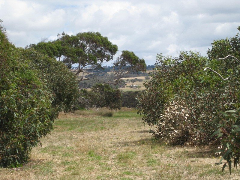Lot 6 Depledge Road, Waitpinga SA 5211