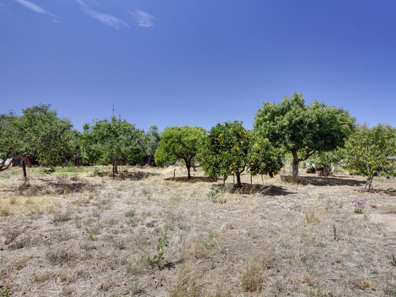 168 Kangarilla Road, Mclaren Vale SA 5171