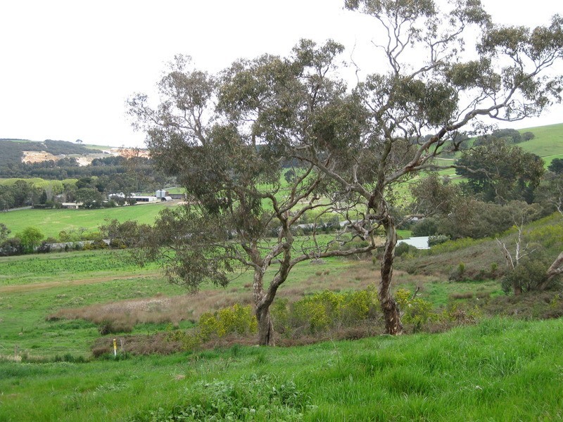Lot 204 Victor Harbor Road, Mount Compass SA 5210