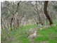 Lot 204 Victor Harbor Road, Mount Compass SA 5210