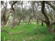 Lot 204 Victor Harbor Road, Mount Compass SA 5210