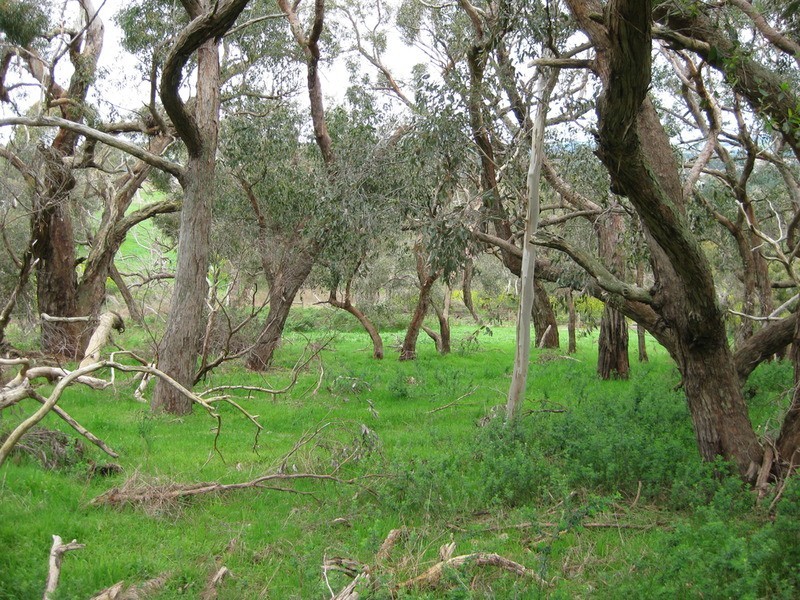 Lot 204 Victor Harbor Road, Mount Compass SA 5210