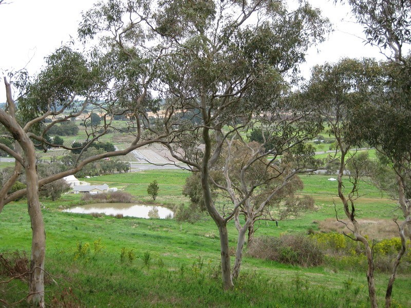 Lot 204 Victor Harbor Road, Mount Compass SA 5210