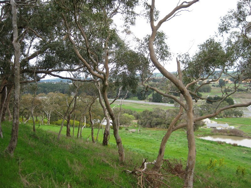 Lot 204 Victor Harbor Road, Mount Compass SA 5210