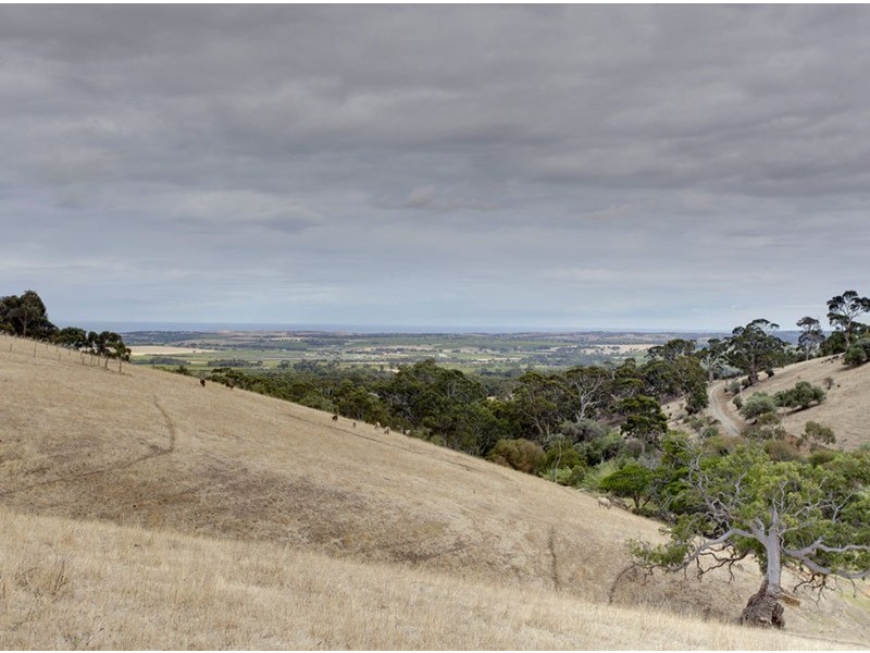52 Taylors Hill Road, Willunga SA 5172