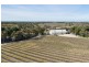 291 Winery Road, Currency Creek SA 5214