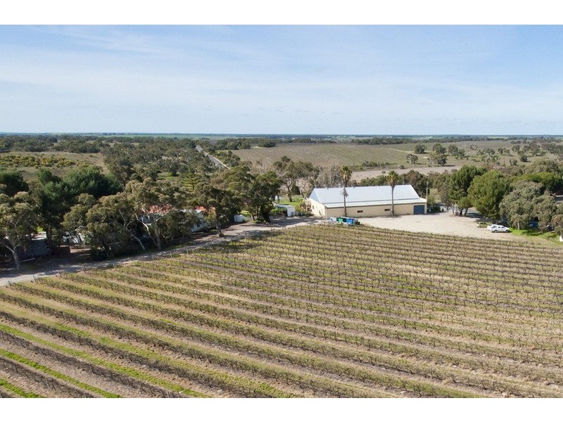 291 Winery Road, Currency Creek SA 5214