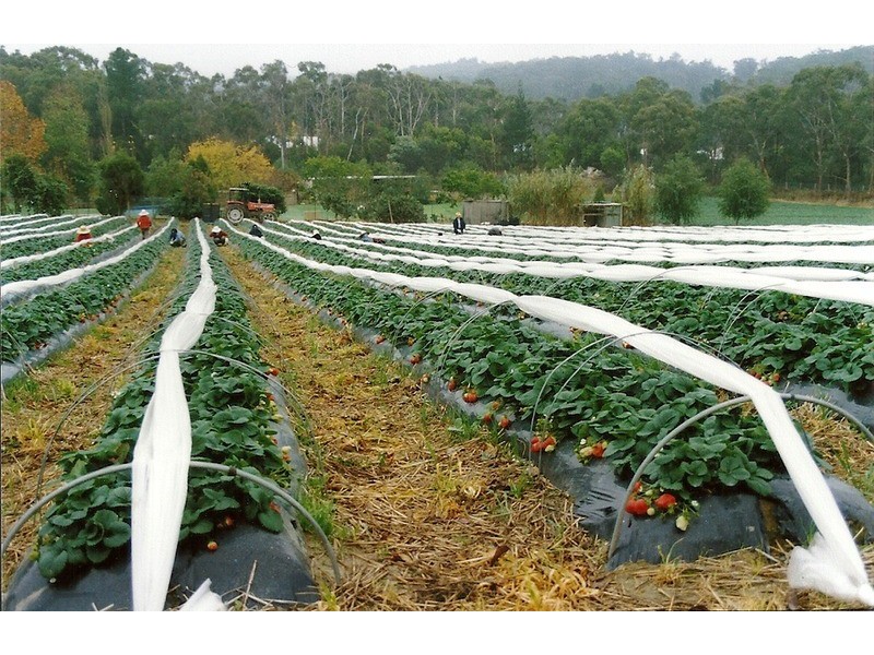 Lot 50 Victor Harbor  Road, Mount Compass SA 5210