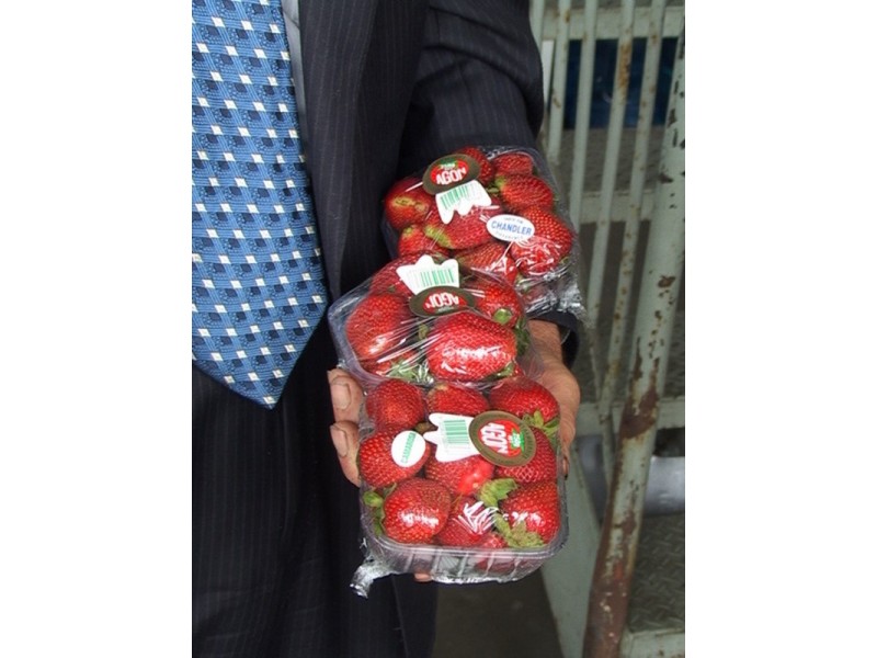 Lot 50 Victor Harbor  Road, Mount Compass SA 5210