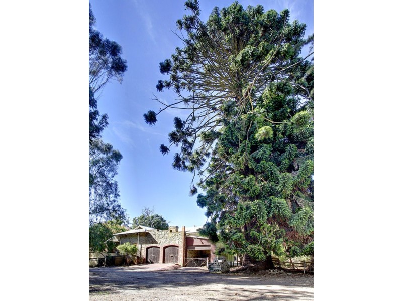 52 Taylors Hill  Road, Willunga SA 5172