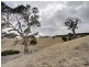 52 Taylors Hill  Road, Willunga SA 5172