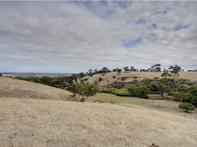 52 Taylors Hill  Road, Willunga SA 5172