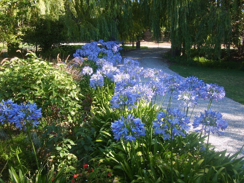 38 Methodist Street, Willunga SA 5172