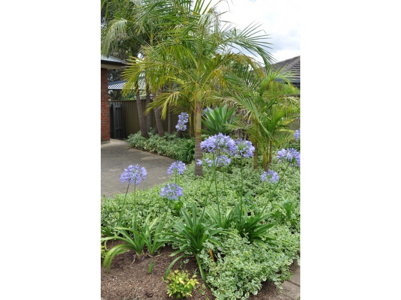 35 Waverley  Drive, Willunga SA 5172