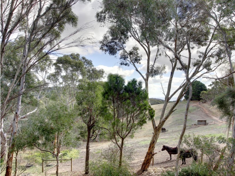 184 Bangor  Road, Willunga SA 5172