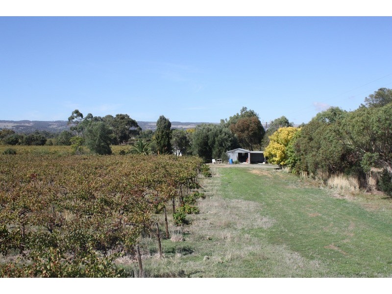 89 Branson  Road, Mclaren Vale SA 5171