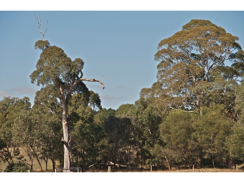 PT Sec 727 Pages Flat Road, Pages Flat SA 5172