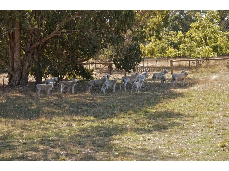 PT Sec 727 Pages Flat Road, Pages Flat SA 5172