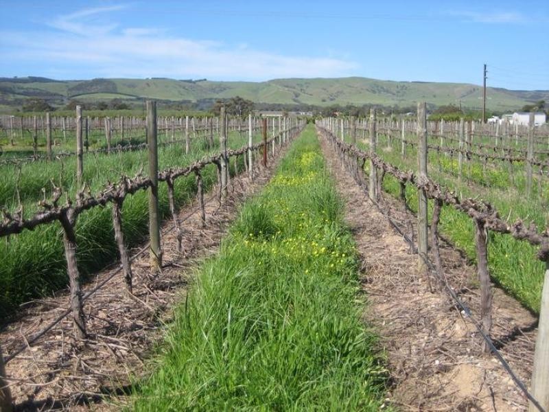 24 California  Road, Whites Valley SA 5172