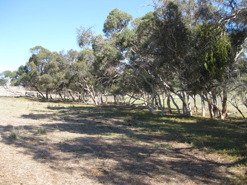 Lot 5  Cleland Gully Road, Mount Compass SA 5210