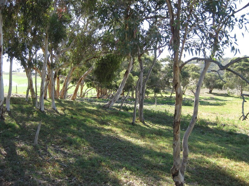 Lot 9 Cleland Gully  Road, Mount Compass SA 5210