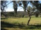 Lot 9 Cleland Gully  Road, Mount Compass SA 5210