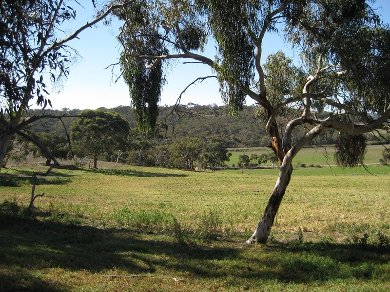 Lot 9 Cleland Gully  Road, Mount Compass SA 5210