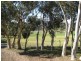 Lot 9 Cleland Gully  Road, Mount Compass SA 5210