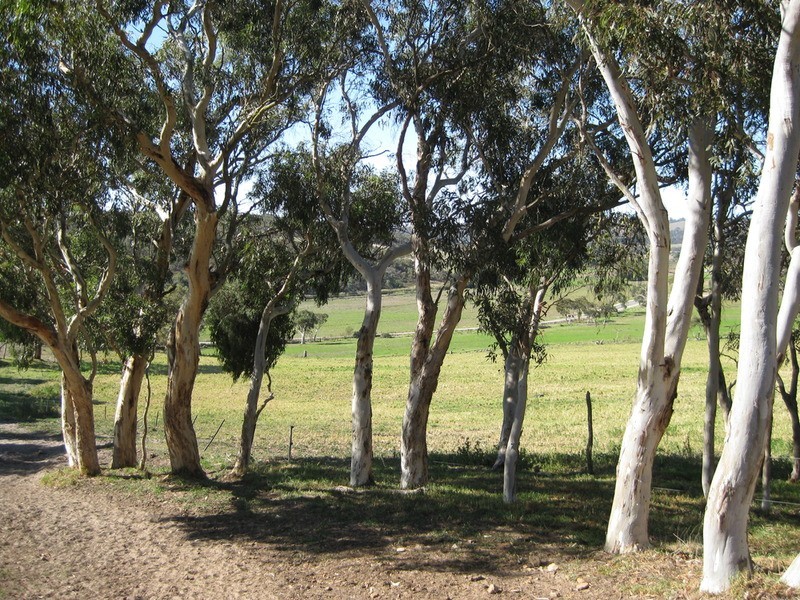 Lot 9 Cleland Gully  Road, Mount Compass SA 5210
