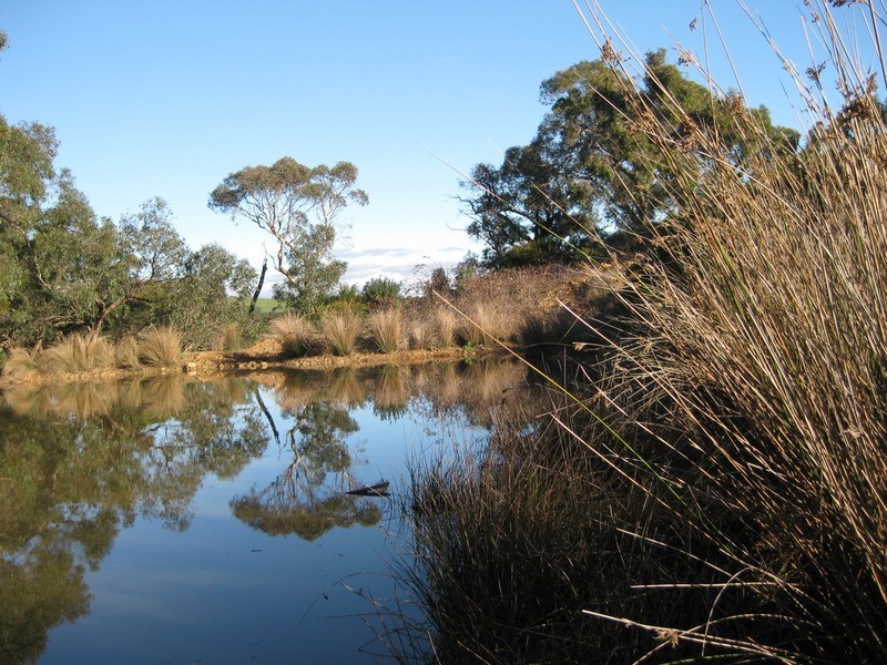 147 Yundi Road, Yundi SA 5172