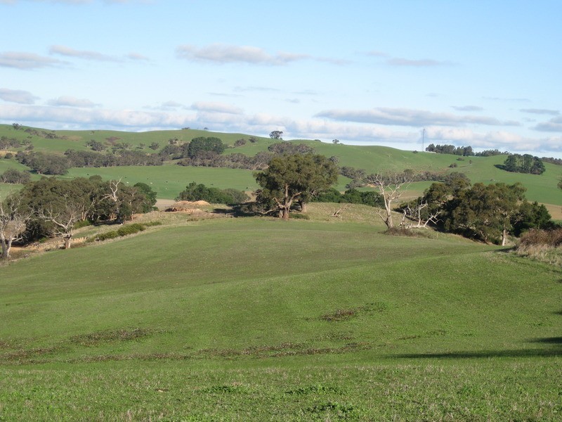 147 Yundi Road, Yundi SA 5172