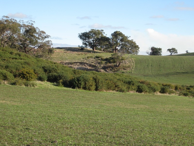 147 Yundi Road, Yundi SA 5172