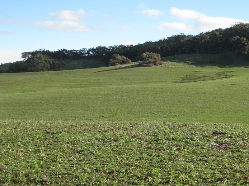 147 Yundi Road, Yundi SA 5172