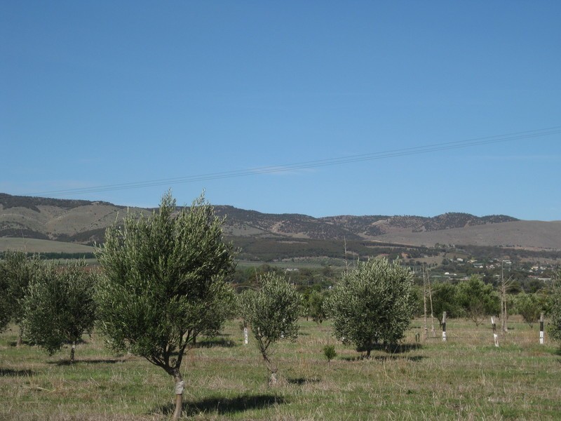 Lot 110 Main South  Road, Aldinga Beach SA 5173