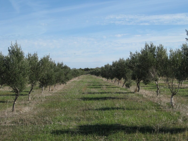 Lot 110 Main South  Road, Aldinga Beach SA 5173