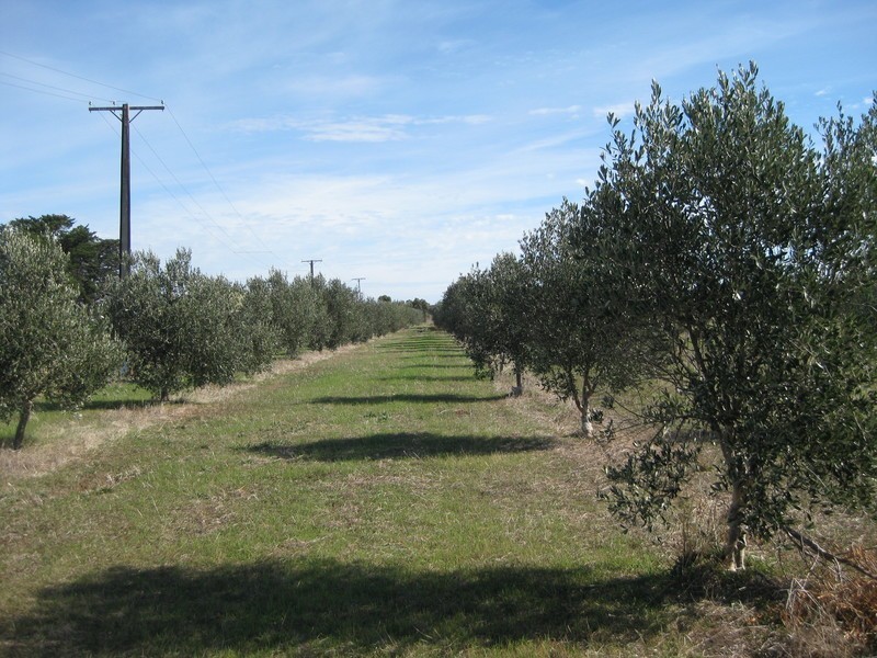 Lot 110 Main South  Road, Aldinga Beach SA 5173