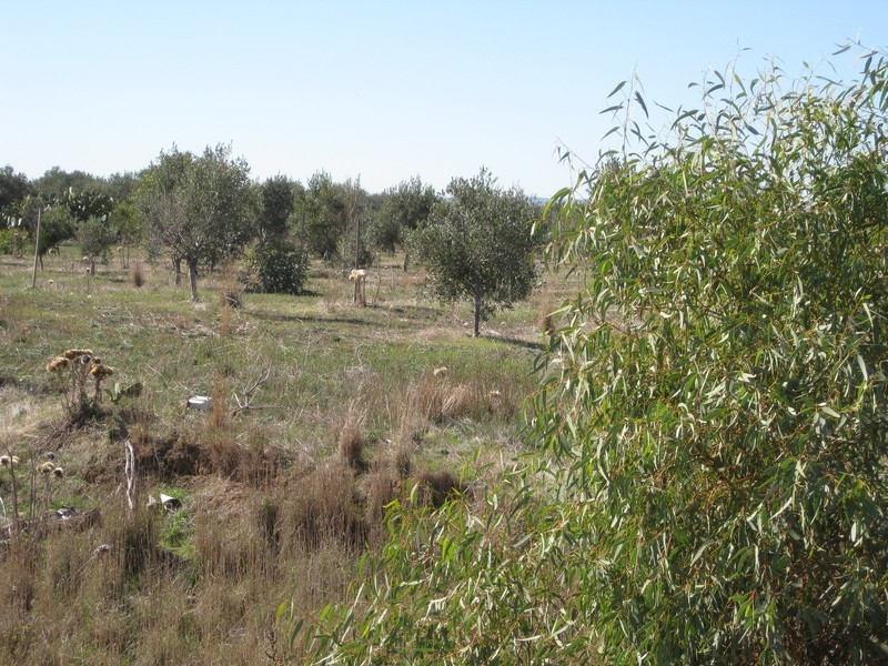 Lot 110 Main South  Road, Aldinga Beach SA 5173