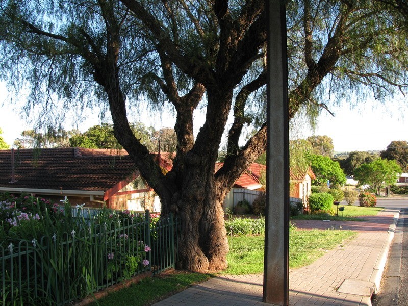 2B Pridmore Avenue, Mclaren Vale SA 5171