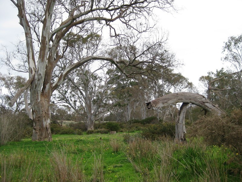 Lot 58 Yacca Road, Wattle Flat SA 5203