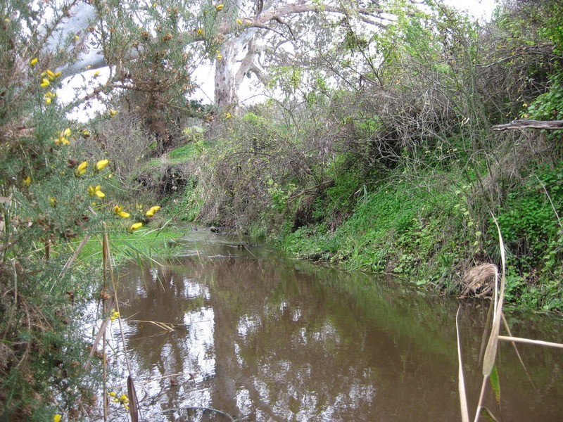 Lot 58 Yacca Road, Wattle Flat SA 5203