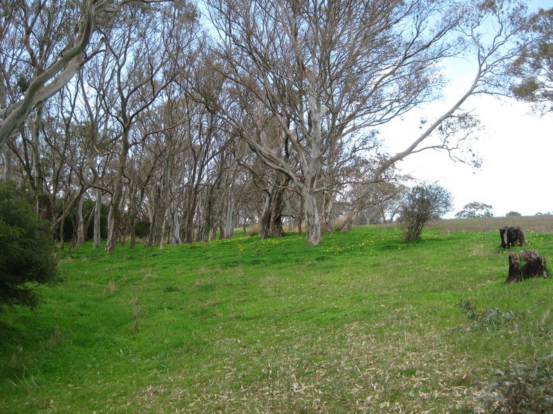 Lot 58 Yacca Road, Wattle Flat SA 5203